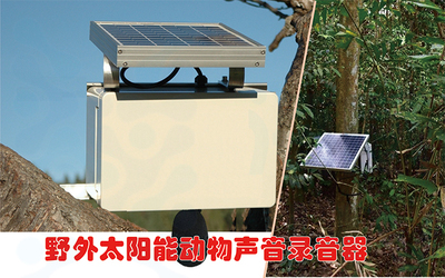 野外移动式太阳能动物声音录音器(站)