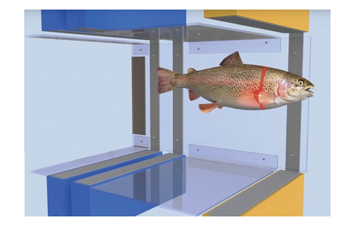 HW2100鱼类种群检测自动计数仪