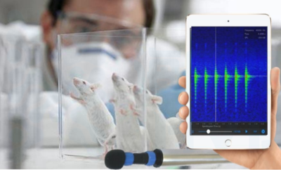 动物超声波记录和分析仪