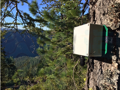 便携式鸟类监测站